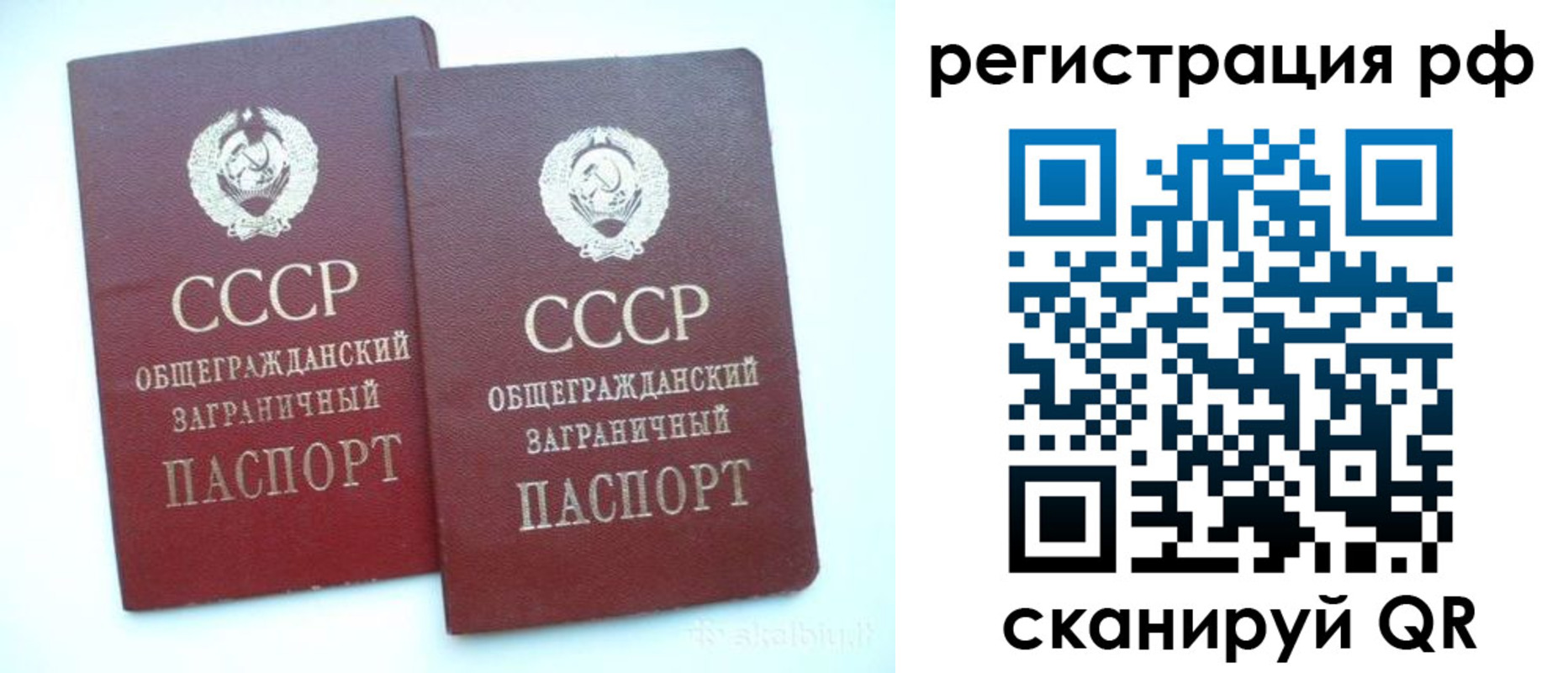 временная регистрация госуслуги в Луге